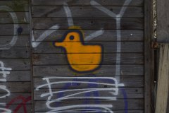 22_DSC00568