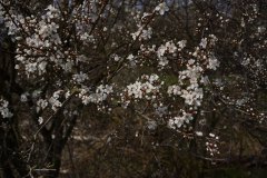05_DSC00755