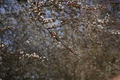 06_DSC00756
