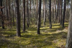 07_DSC00760
