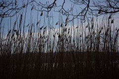 08_DSC00787