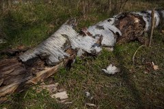 11_DSC00811