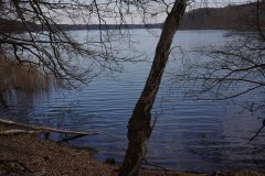 14_DSC00848