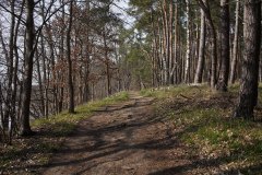 16_DSC00809