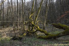 18_DSC00872