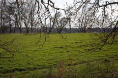 19_DSC00867
