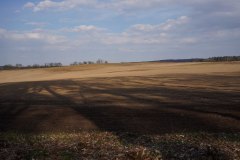 22_DSC00882
