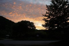 16_DSC03353