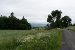 19_DSC03379