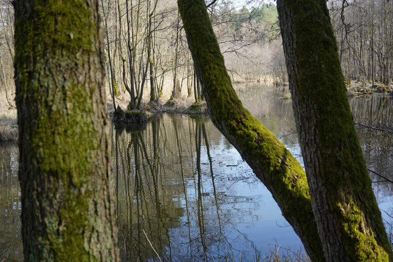 Frühling in Brandenburg