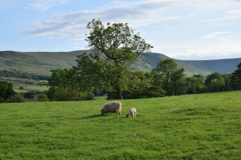 Peak District, June 9, 2019